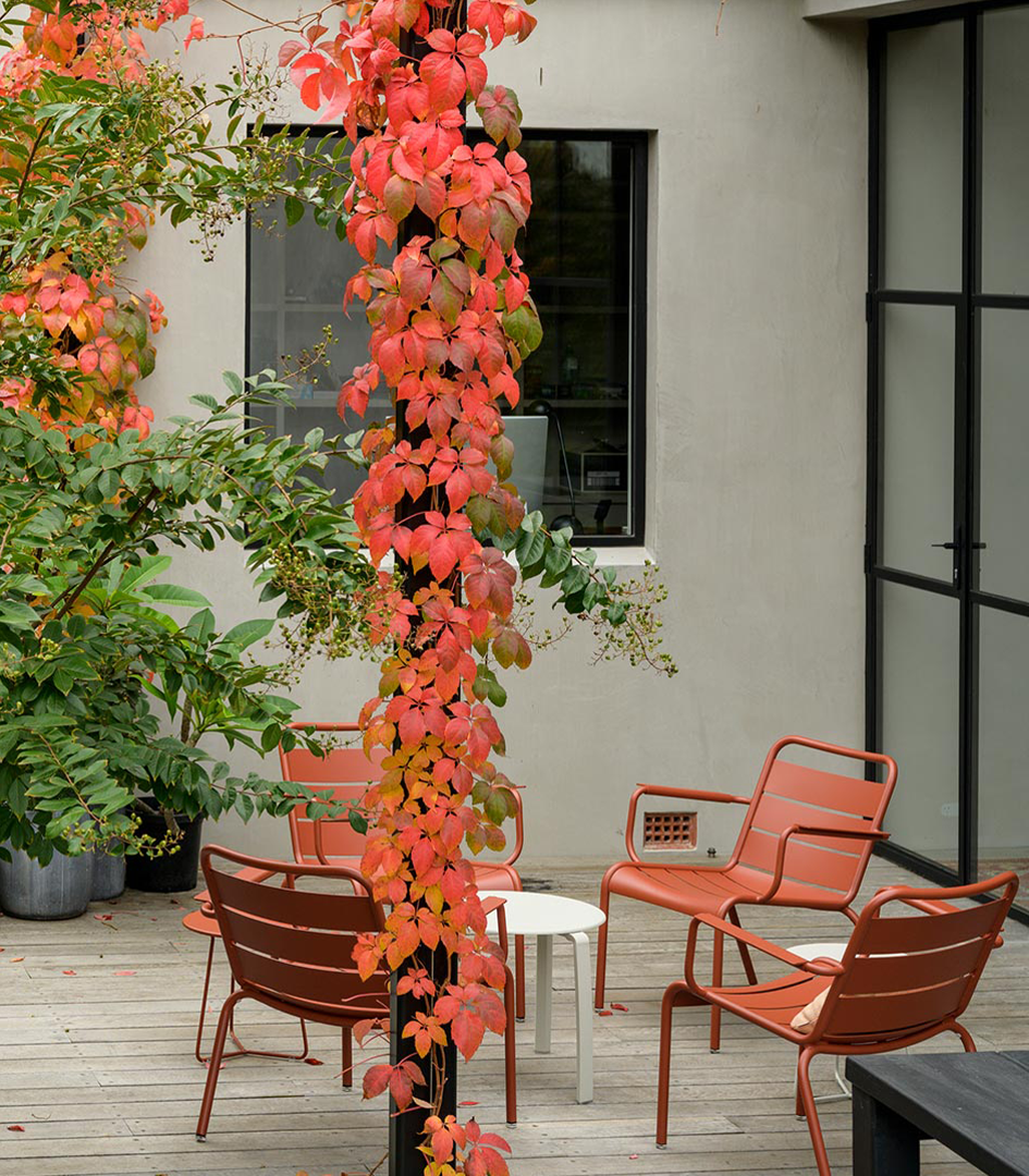 Toorak Residence