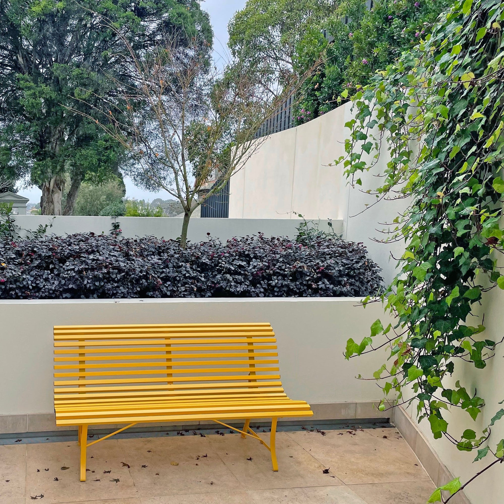Louisiane Bench