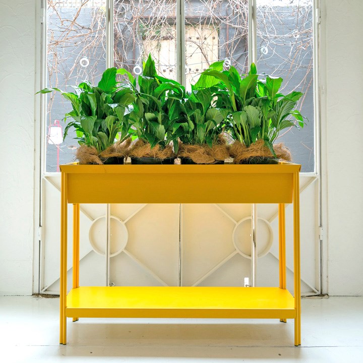 TERRAZZA PLANTER LGE