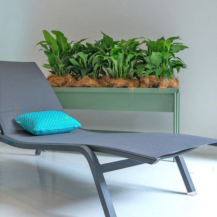 TERRAZZA PLANTER MED