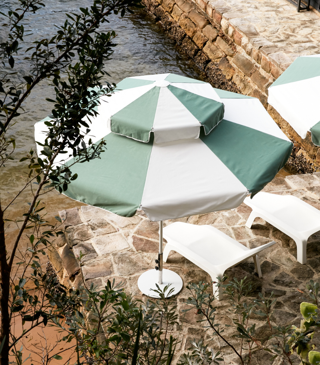 Introducing Basil Bangs: Finishing touches for your space