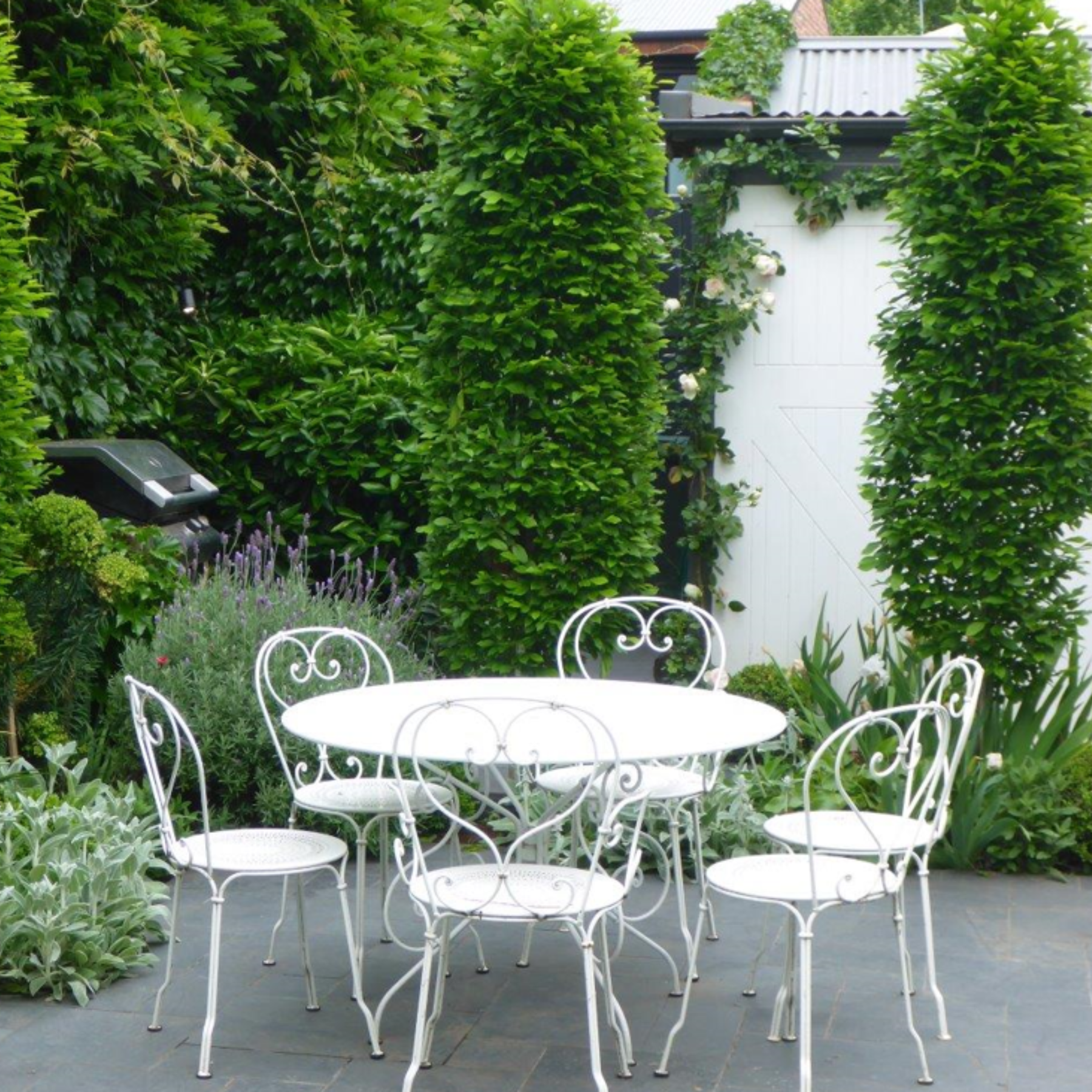 1900 TABLE DIA 117 CM